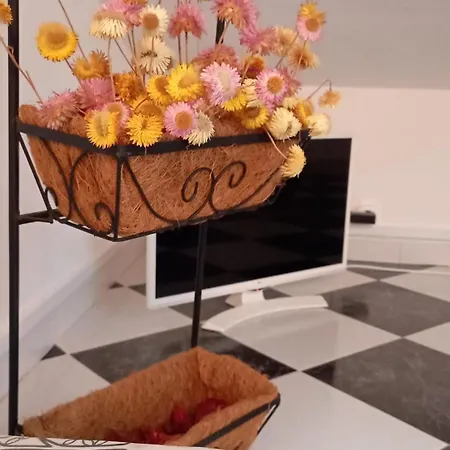 Zawaiaroom Ubytování v soukromí