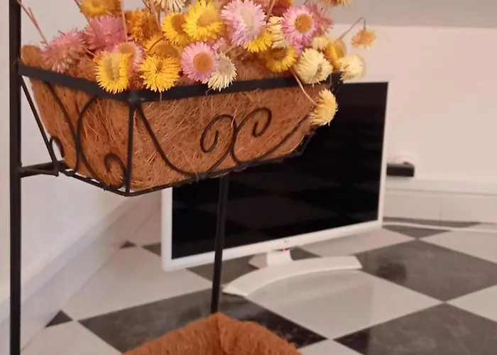 Zawaiaroom ホームステイ